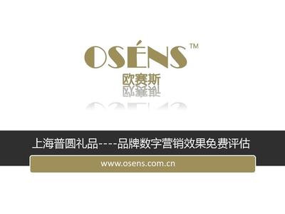 欧赛斯品牌互联网营销免费评估报告 上海普圆礼品互联网销售策略深度解析